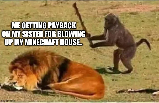wack | ME GETTING PAYBACK ON MY SISTER FOR BLOWING UP MY MINECRAFT HOUSE.. | image tagged in funny animals,funny memes,minecraft | made w/ Imgflip meme maker