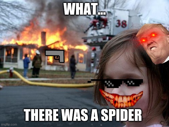 Disaster Girl Meme | WHAT... THERE WAS A SPIDER | image tagged in memes,disaster girl | made w/ Imgflip meme maker