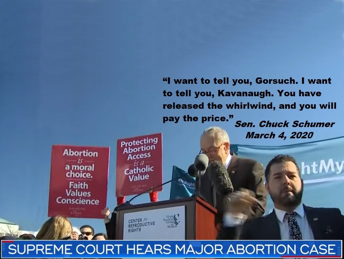 High Quality Senator Schumer threatens Supreme Court judges on abortion Blank Meme Template
