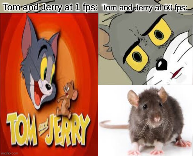 Tom and Jerry at 60 fps:; Tom and Jerry at 1 fps: | image tagged in unsettled tom | made w/ Imgflip meme maker
