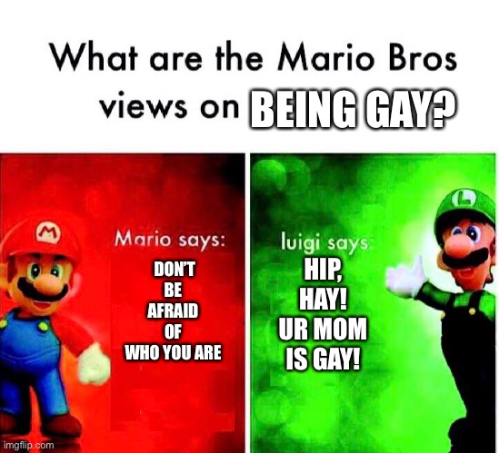 Mario Luigi | BEING GAY? DON’T BE AFRAID OF WHO YOU ARE; HIP, HAY! UR MOM IS GAY! | image tagged in mario luigi | made w/ Imgflip meme maker
