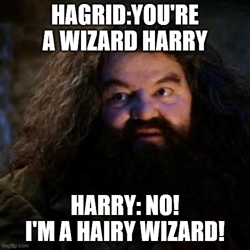 You're a wizard harry | HAGRID:YOU'RE A WIZARD HARRY; HARRY: NO! I'M A HAIRY WIZARD! | image tagged in you're a wizard harry | made w/ Imgflip meme maker