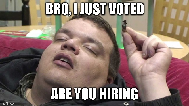 I just voted | BRO, I JUST VOTED; ARE YOU HIRING | image tagged in weed man | made w/ Imgflip meme maker