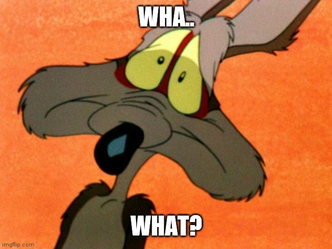 Wile E Coyote oh no | WHA.. WHAT? | image tagged in wile e coyote oh no | made w/ Imgflip meme maker