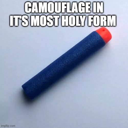 CAMOUFLAGE IN IT'S MOST HOLY FORM | made w/ Imgflip meme maker