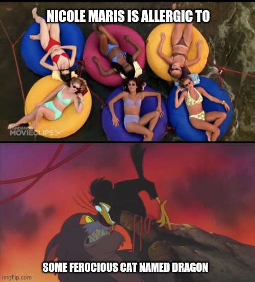 Nicole Maris has allergies | NICOLE MARIS IS ALLERGIC TO; SOME FEROCIOUS CAT NAMED DRAGON | image tagged in allergies,bikini,cat,movie,animated,girl | made w/ Imgflip meme maker