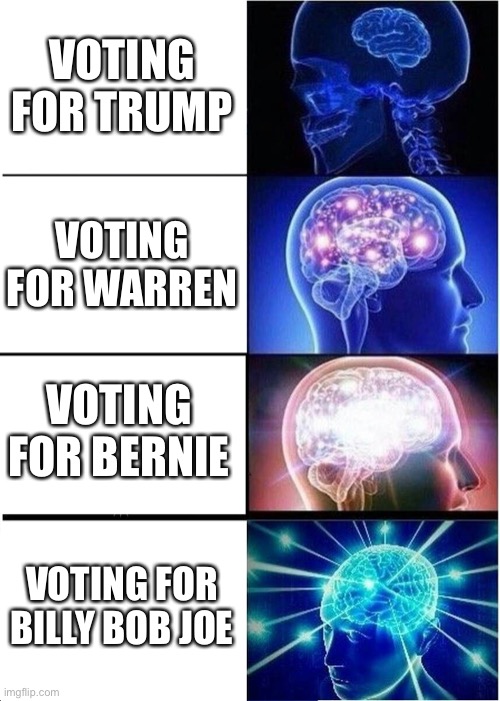 Expanding Brain | VOTING FOR TRUMP; VOTING FOR WARREN; VOTING FOR BERNIE; VOTING FOR BILLY BOB JOE | image tagged in memes,expanding brain | made w/ Imgflip meme maker