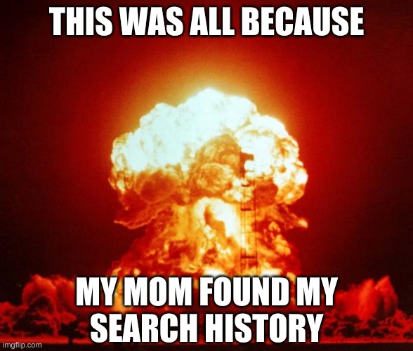 Me IRL | THIS WAS ALL BECAUSE; MY MOM FOUND MY
SEARCH HISTORY | image tagged in nuke,search history | made w/ Imgflip meme maker