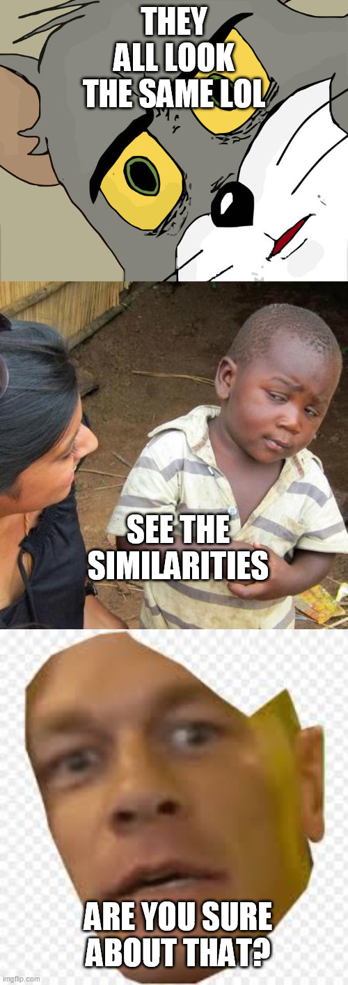 THEY ALL LOOK THE SAME LOL; SEE THE SIMILARITIES; ARE YOU SURE ABOUT THAT? | image tagged in memes,third world skeptical kid,unsettled tom | made w/ Imgflip meme maker