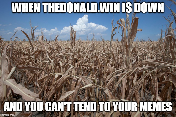 WHEN THEDONALD.WIN IS DOWN; AND YOU CAN'T TEND TO YOUR MEMES | made w/ Imgflip meme maker