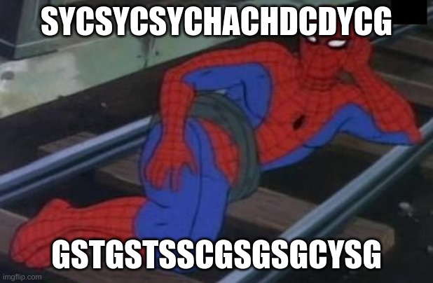 Sexy Railroad Spiderman Meme | SYCSYCSYCHACHDCDYCG; GSTGSTSSCGSGSGCYSG | image tagged in memes,sexy railroad spiderman,spiderman | made w/ Imgflip meme maker