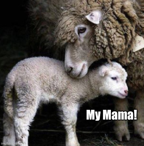 My Mama! | made w/ Imgflip meme maker