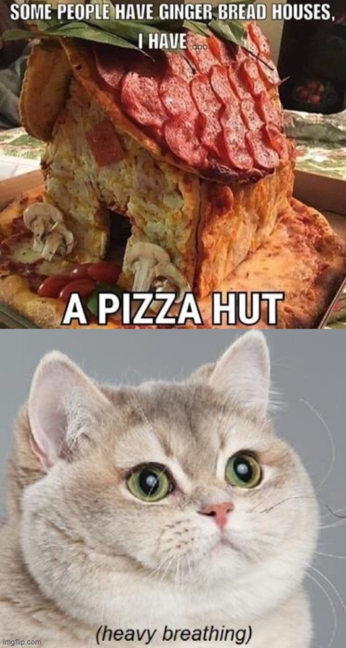 Turn this Pizza house into a Pizza HOME! | image tagged in memes,heavy breathing cat,pizza | made w/ Imgflip meme maker
