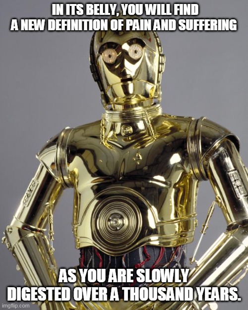 C3PO | IN ITS BELLY, YOU WILL FIND A NEW DEFINITION OF PAIN AND SUFFERING; AS YOU ARE SLOWLY DIGESTED OVER A THOUSAND YEARS. | image tagged in c3po | made w/ Imgflip meme maker