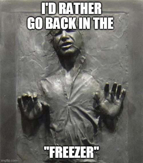 Han Solo Frozen Carbonite | I'D RATHER GO BACK IN THE; "FREEZER" | image tagged in han solo frozen carbonite | made w/ Imgflip meme maker