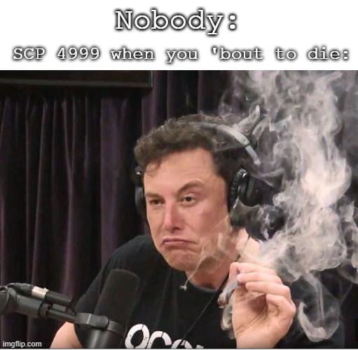 SCP 4999 smoking a joint | SCP 4999 when you 'bout to die:; Nobody: | image tagged in elon musk smoking a joint,scp | made w/ Imgflip meme maker
