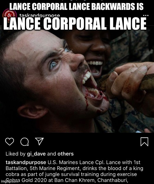 Lance Corporal Lance Vibes | LANCE CORPORAL LANCE BACKWARDS IS; LANCE CORPORAL LANCE | image tagged in palindrome,usmc,cobra,blood | made w/ Imgflip meme maker