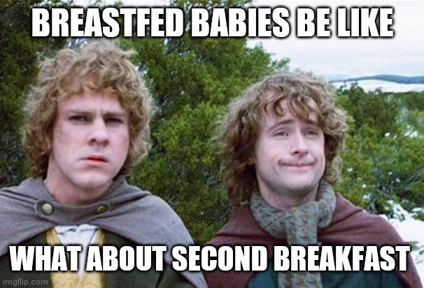 Second Breakfast | BREASTFED BABIES BE LIKE; WHAT ABOUT SECOND BREAKFAST | image tagged in second breakfast | made w/ Imgflip meme maker