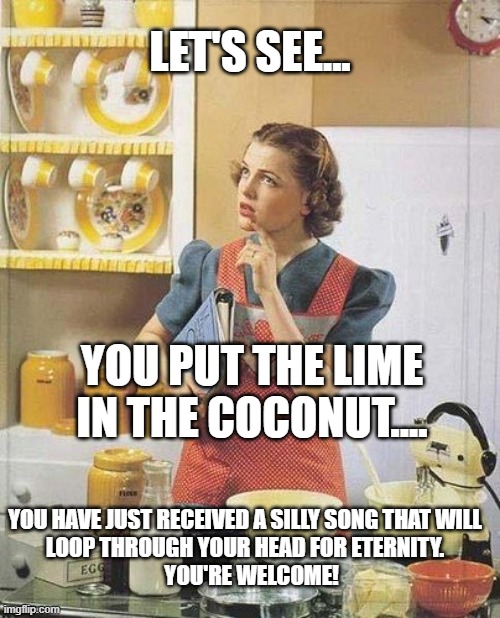 Vintage Kitchen Query | LET'S SEE... YOU PUT THE LIME IN THE COCONUT.... YOU HAVE JUST RECEIVED A SILLY SONG THAT WILL LOOP THROUGH YOUR HEAD FOR ETERNITY.
    YOU'RE WELCOME! | image tagged in vintage kitchen query | made w/ Imgflip meme maker