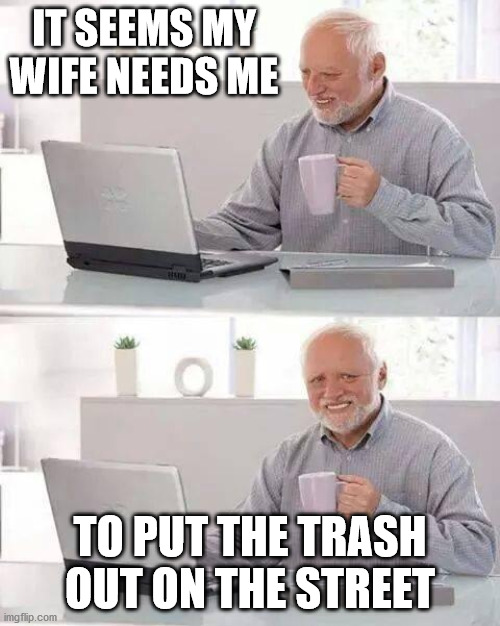 Hide the Pain Harold Meme | IT SEEMS MY WIFE NEEDS ME; TO PUT THE TRASH OUT ON THE STREET | image tagged in memes,hide the pain harold | made w/ Imgflip meme maker