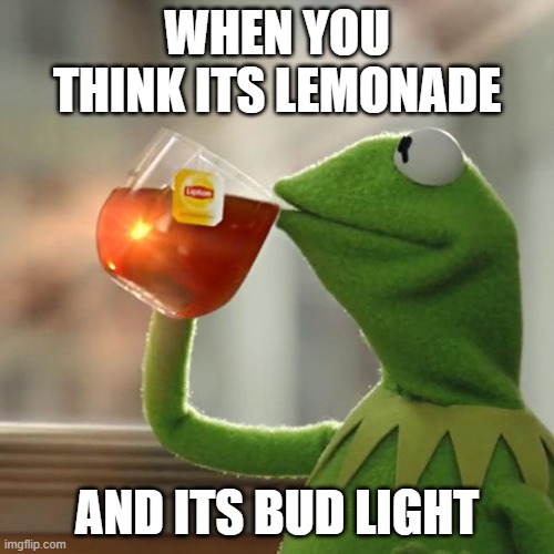 But That's None Of My Business | WHEN YOU THINK ITS LEMONADE; AND ITS BUD LIGHT | image tagged in memes,but thats none of my business,kermit the frog | made w/ Imgflip meme maker