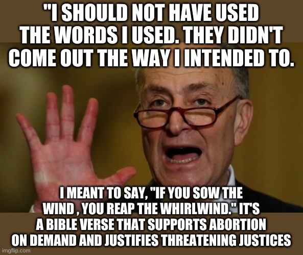 Oh, I see. You were much clearer the first time. | "I SHOULD NOT HAVE USED THE WORDS I USED. THEY DIDN'T COME OUT THE WAY I INTENDED TO. I MEANT TO SAY, "IF YOU SOW THE WIND , YOU REAP THE WHIRLWIND." IT'S A BIBLE VERSE THAT SUPPORTS ABORTION ON DEMAND AND JUSTIFIES THREATENING JUSTICES | image tagged in chuck schumer | made w/ Imgflip meme maker