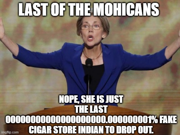 Last of the Mohicans! | LAST OF THE MOHICANS; NOPE, SHE IS JUST THE LAST 00000000000000000000.000000001% FAKE CIGAR STORE INDIAN TO DROP OUT. | image tagged in elizabeth warren,cigar store indian | made w/ Imgflip meme maker