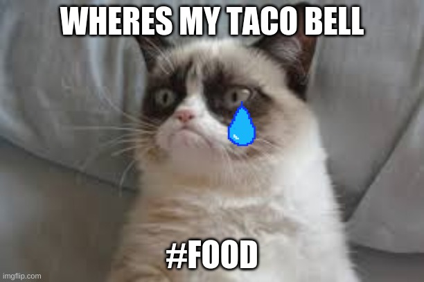 Grumpy cat | WHERES MY TACO BELL; #FOOD | image tagged in grumpy cat | made w/ Imgflip meme maker