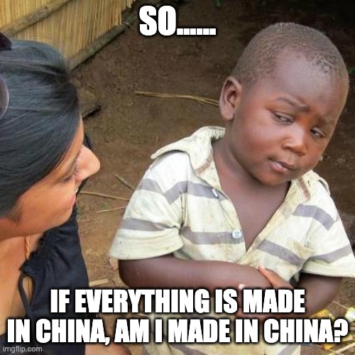 Third World Skeptical Kid | SO...... IF EVERYTHING IS MADE IN CHINA, AM I MADE IN CHINA? | image tagged in memes,third world skeptical kid | made w/ Imgflip meme maker