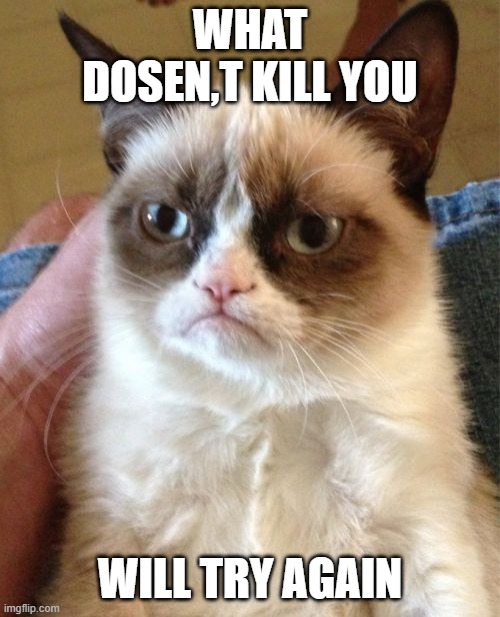 Grumpy Cat | WHAT DOSEN,T KILL YOU; WILL TRY AGAIN | image tagged in memes,grumpy cat | made w/ Imgflip meme maker