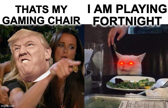 Woman Yelling At Cat Meme | THATS MY GAMING CHAIR; I AM PLAYING FORTNIGHT | image tagged in memes,woman yelling at cat | made w/ Imgflip meme maker