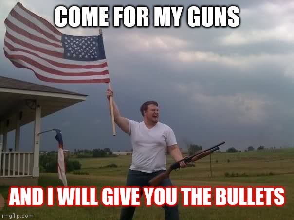 Redneck Shotgun and Flag | COME FOR MY GUNS; AND I WILL GIVE YOU THE BULLETS | image tagged in redneck shotgun and flag | made w/ Imgflip meme maker