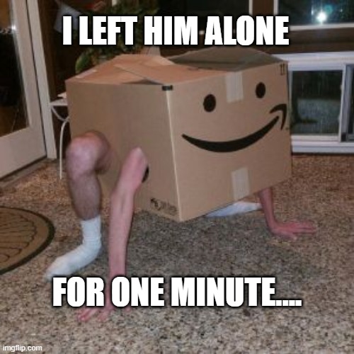 Amazon Box Guy |  I LEFT HIM ALONE; FOR ONE MINUTE.... | image tagged in amazon box guy | made w/ Imgflip meme maker