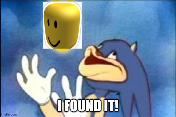 Sonic derp | I FOUND IT! | image tagged in sonic derp | made w/ Imgflip meme maker