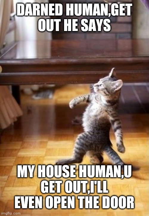 Cool Cat Stroll | DARNED HUMAN,GET OUT HE SAYS; MY HOUSE HUMAN,U GET OUT,I'LL EVEN OPEN THE DOOR | image tagged in memes,cool cat stroll | made w/ Imgflip meme maker