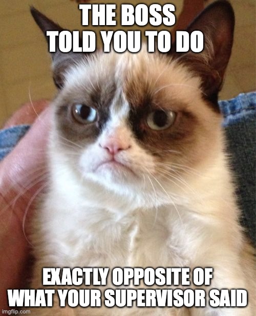 Grumpy Cat Meme | THE BOSS TOLD YOU TO DO; EXACTLY OPPOSITE OF WHAT YOUR SUPERVISOR SAID | image tagged in memes,grumpy cat | made w/ Imgflip meme maker