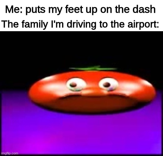 Cynical Tomato | The family I'm driving to the airport:; Me: puts my feet up on the dash | image tagged in cynical tomato | made w/ Imgflip meme maker