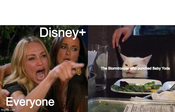 Woman Yelling At Cat Meme | Disney+; The Stormtrooper who punched Baby Yoda; Everyone | image tagged in memes,woman yelling at cat | made w/ Imgflip meme maker