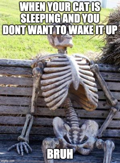 Waiting Skeleton Meme | WHEN YOUR CAT IS SLEEPING AND YOU DONT WANT TO WAKE IT UP; BRUH | image tagged in memes,waiting skeleton | made w/ Imgflip meme maker