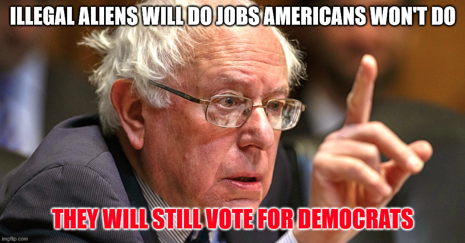 bernie sanders | ILLEGAL ALIENS WILL DO JOBS AMERICANS WON'T DO; THEY WILL STILL VOTE FOR DEMOCRATS | image tagged in bernie sanders | made w/ Imgflip meme maker