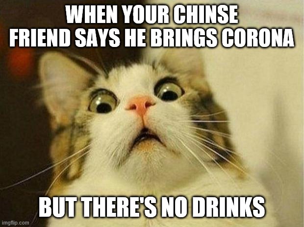 Scared Cat | WHEN YOUR CHINSE FRIEND SAYS HE BRINGS CORONA; BUT THERE'S NO DRINKS | image tagged in memes,scared cat | made w/ Imgflip meme maker