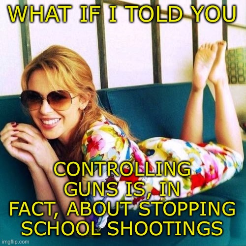 Hard to believe I know, but Democrats are not excited every time there’s a new school shooting. We actually hate them! | WHAT IF I TOLD YOU; CONTROLLING GUNS IS, IN FACT, ABOUT STOPPING SCHOOL SHOOTINGS | image tagged in kylie morpheus,gun laws,gun control,second amendment,gun violence,school shooting | made w/ Imgflip meme maker