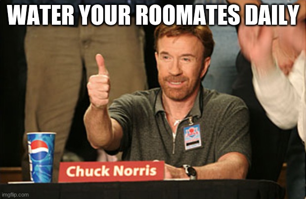 Chuck Norris Approves Meme | WATER YOUR ROOMATES DAILY | image tagged in memes,chuck norris approves,chuck norris | made w/ Imgflip meme maker