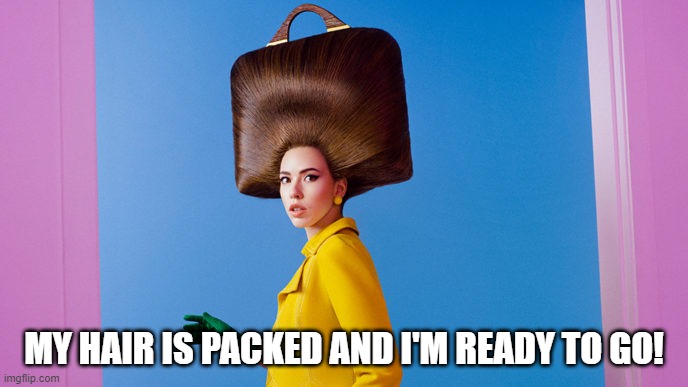 Haircase | MY HAIR IS PACKED AND I'M READY TO GO! | image tagged in strange hair | made w/ Imgflip meme maker