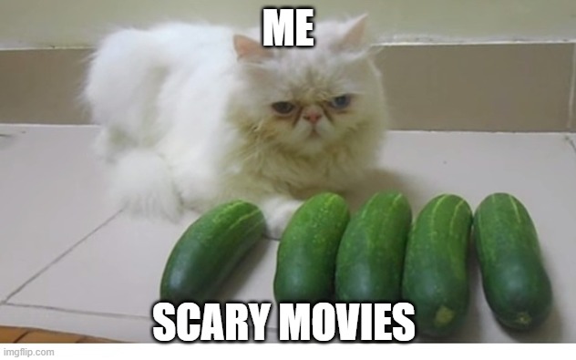 Cats and cucumbers | ME; SCARY MOVIES | image tagged in cats and cucumbers | made w/ Imgflip meme maker