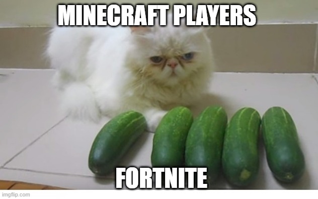 Cats and cucumbers | MINECRAFT PLAYERS; FORTNITE | image tagged in cats and cucumbers | made w/ Imgflip meme maker