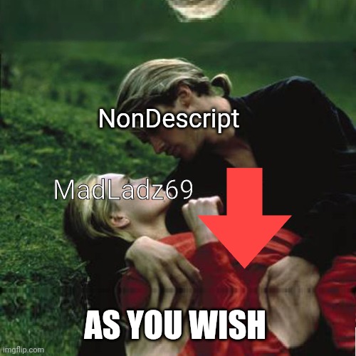 As you wish | NonDescript AS YOU WISH MadLadz69 | image tagged in as you wish | made w/ Imgflip meme maker