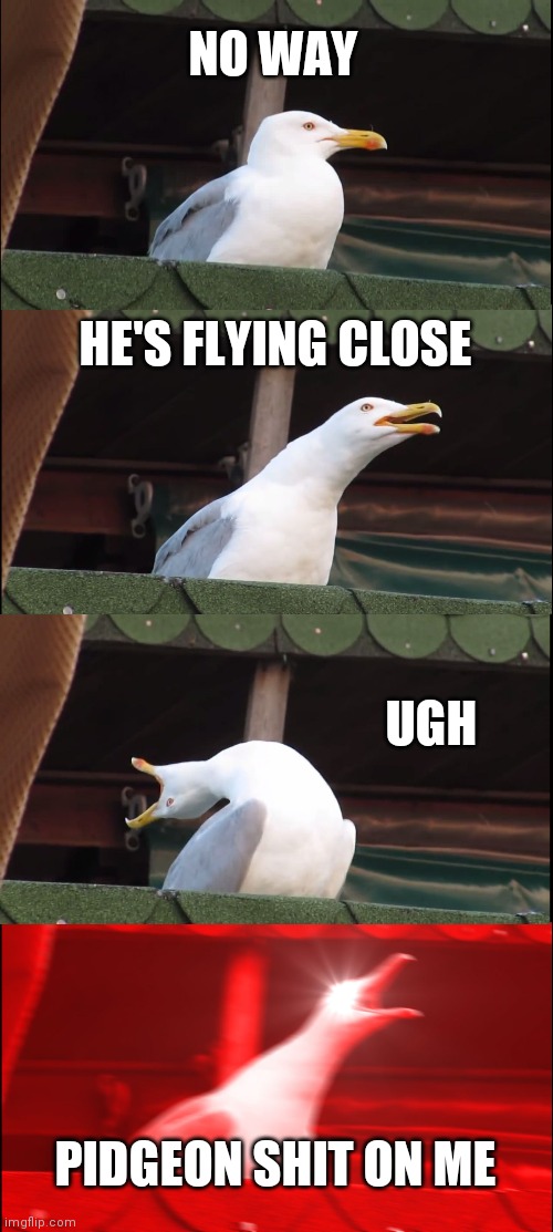 Inhaling Seagull | NO WAY; HE'S FLYING CLOSE; UGH; PIDGEON SHIT ON ME | image tagged in memes,inhaling seagull | made w/ Imgflip meme maker