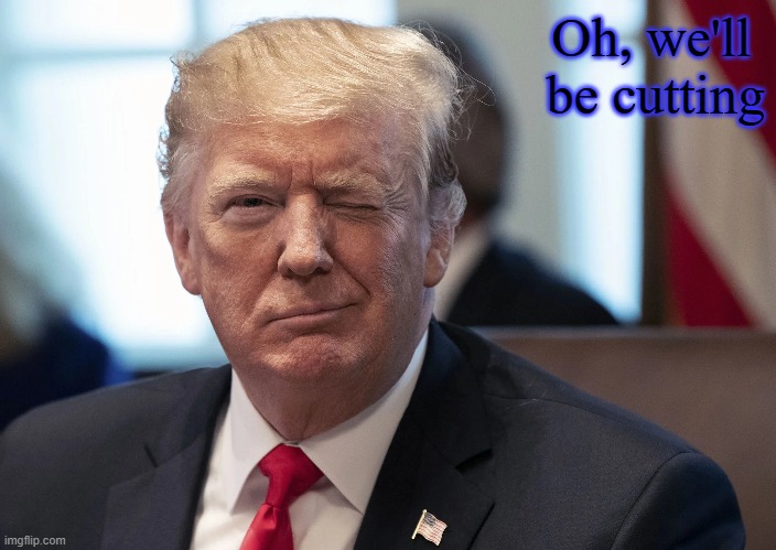 trump  wink | Oh, we'll 
be cutting | image tagged in trump wink | made w/ Imgflip meme maker