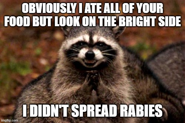 Evil Plotting Raccoon Meme | OBVIOUSLY I ATE ALL OF YOUR FOOD BUT LOOK ON THE BRIGHT SIDE; I DIDN'T SPREAD RABIES | image tagged in memes,evil plotting raccoon | made w/ Imgflip meme maker